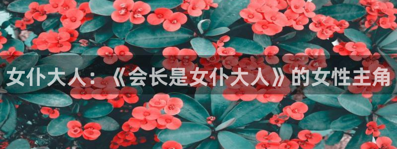 私人人影院